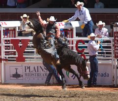 Calgary Stampede-1419